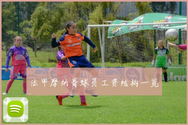 法甲摩纳哥球员工资结构一览