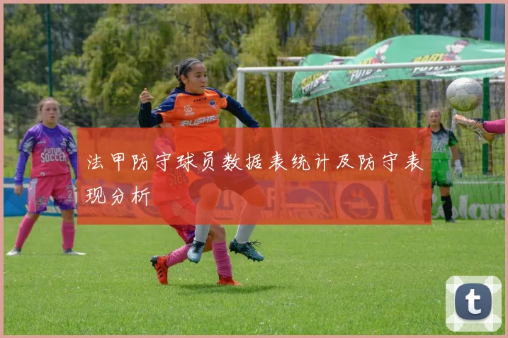 法甲防守球员数据表统计及防守表现分析