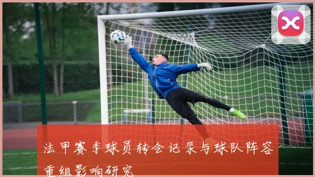 法甲赛季球员转会记录与球队阵容重组影响研究