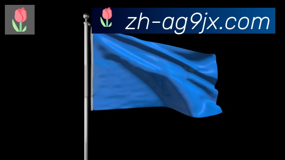ag9游会发展历程