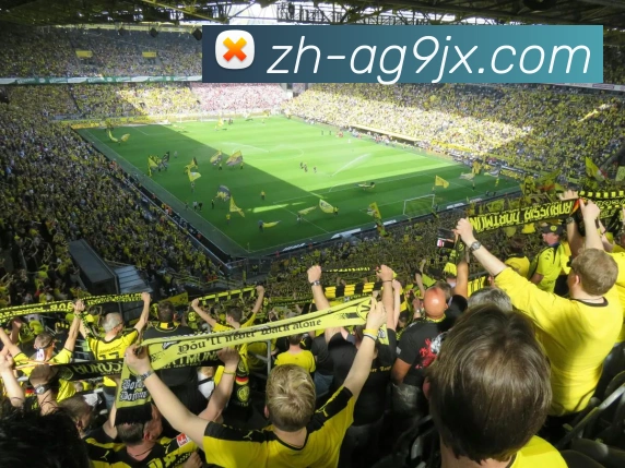 ag9游会服务体系